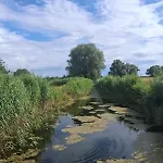 Haus Дом отдыха *